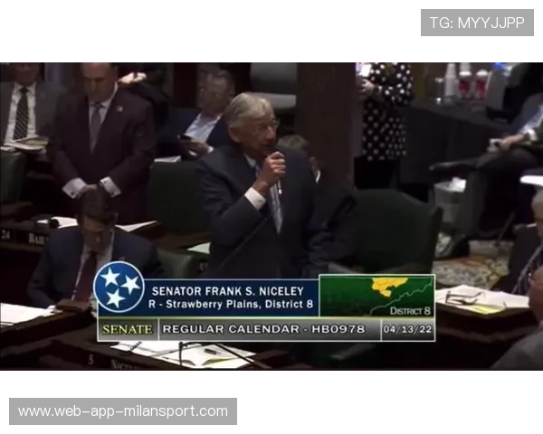 流浪者拟把训练营国际化吸引更多海外年轻才俊