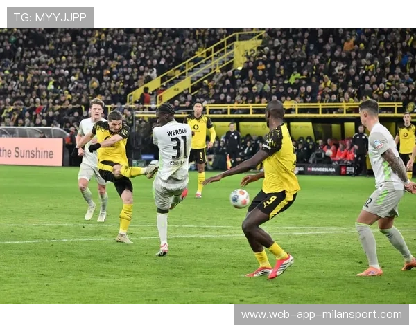 欧冠 托特纳姆热刺VS哥本哈根 比分预测：北伦敦火力的欧冠试炼，托特纳姆热刺vs布伦特福德比分