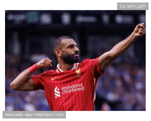 球员表现持续火热，谁能成为最耀眼的明星？，最受欢迎球星